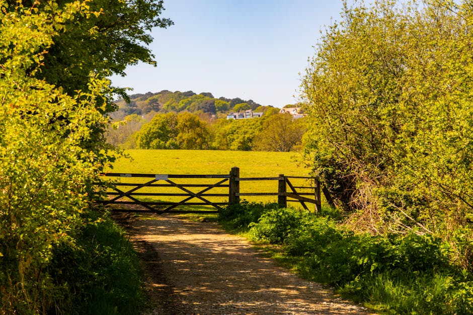 A rural pathway leading through dense green foliage with overhanging trees on both sides, sunlight filtering through branches creating dappled shadows on the dirt track. The path leads to a small wooden gate that opens into a bright, open field covered with lush grass, surrounded by distant gentle hills and scattered residential buildings nestled among trees. The scene depicts a peaceful outdoor environment, typical of a countryside area suitable for local house removals and home relocation logistics, with the natural setting highlighting the importance of careful furniture transport and packing before vehicle loading. The image emphasizes an outdoor environment where transportation equipment such as trolleys or straps might be used to facilitate moving tasks by [COMPANY_NAME], with natural lighting enhancing the clarity of furniture, boxes, or packing materials prepared for a move in the vicinity.