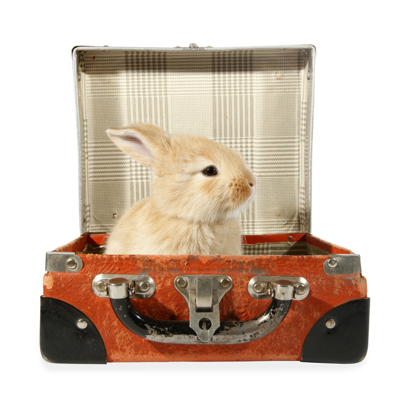 moving companies packing
